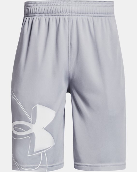 Boys' UA Prototype 2.0 SSZ Shorts