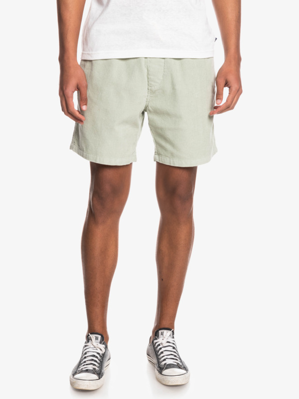 Taxer Corduroy 18.5" Shorts