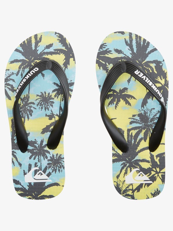 Boy's 8-16 Molokai Art Flip-Flops