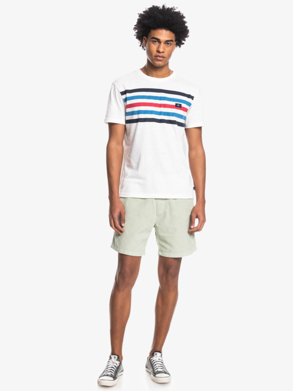 Taxer Corduroy 18.5" Shorts