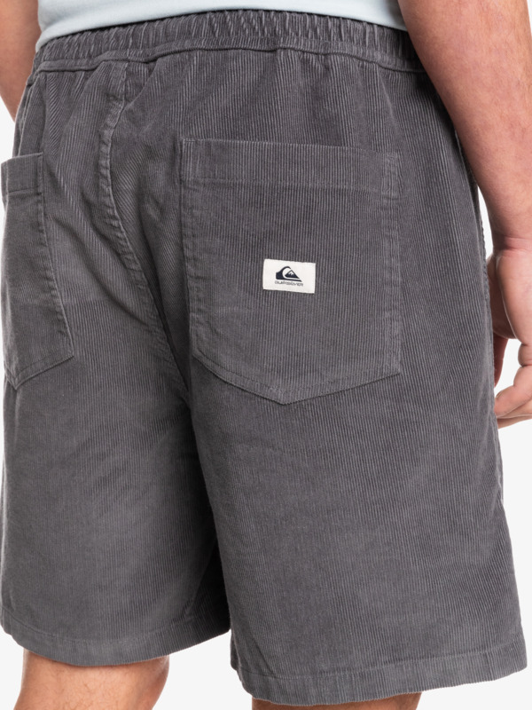 Taxer Corduroy 18.5" Shorts