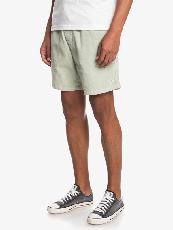 Taxer Corduroy 18.5" Shorts