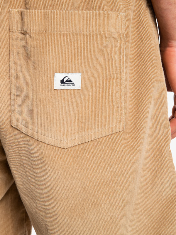 Taxer Corduroy 18.5" Shorts