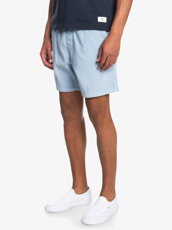 Taxer Corduroy 18.5" Shorts