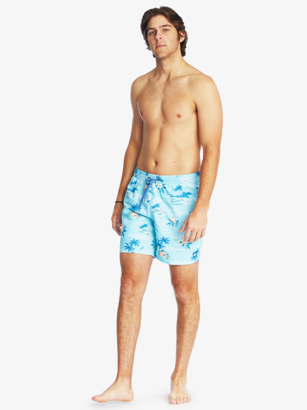 Everyday Scenic 17" Volleys