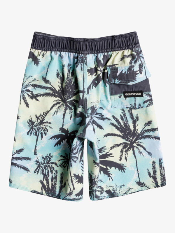Boy's 2-7 SurfSilk Washed 14" Boardshorts