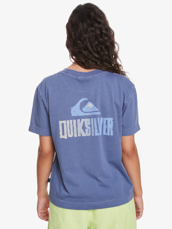 Quiksilver Womens Cropped Mineral T-Shirt