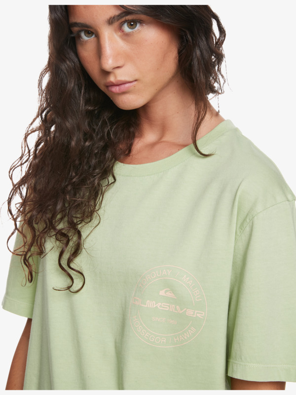 Quiksilver Womens Mineral T-Shirt