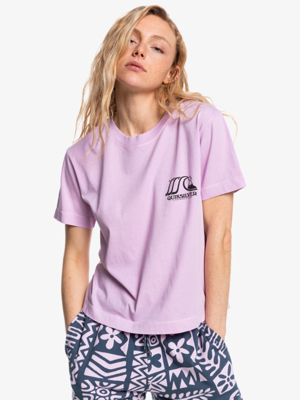 Quiksilver Womens Organic Crop T-Shirt