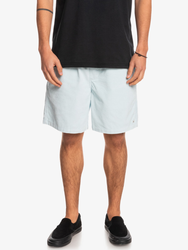 Taxer Corduroy 18.5" Shorts