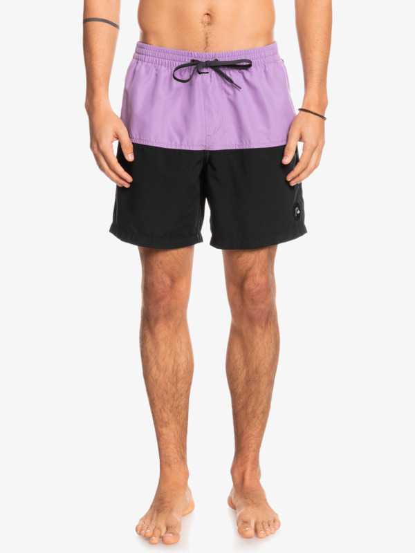 Everyday Division 17" Volleys