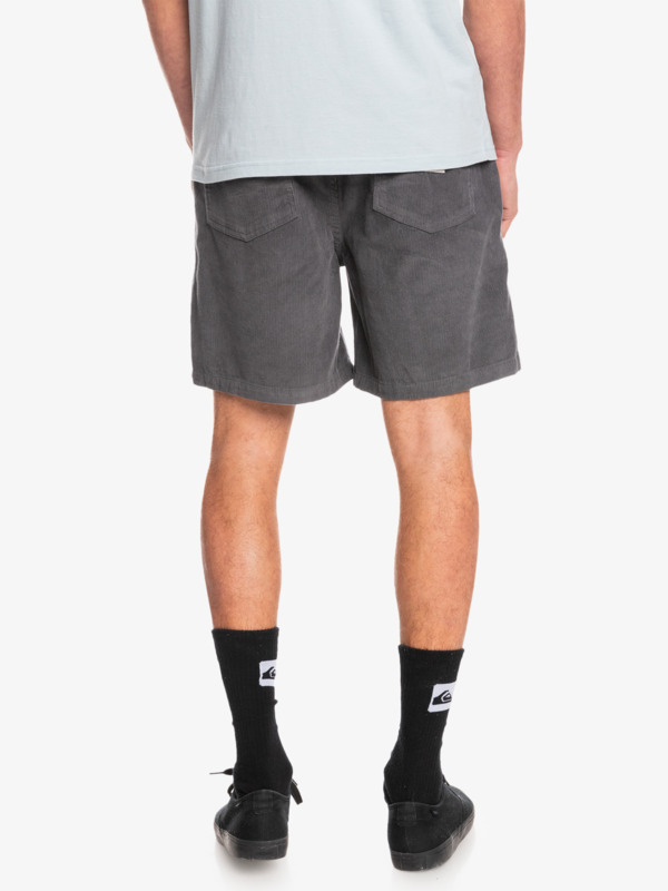 Taxer Corduroy 18.5" Shorts