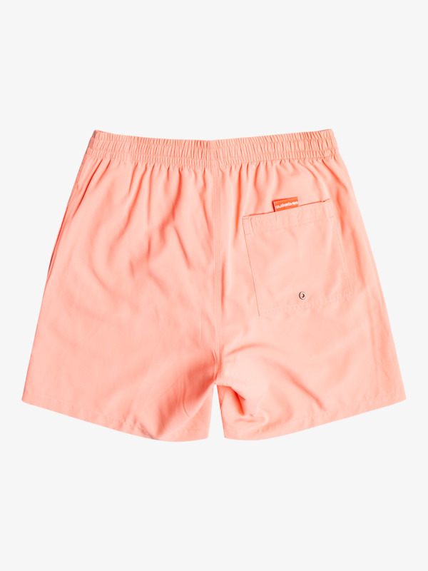 Everyday 17" Volleys