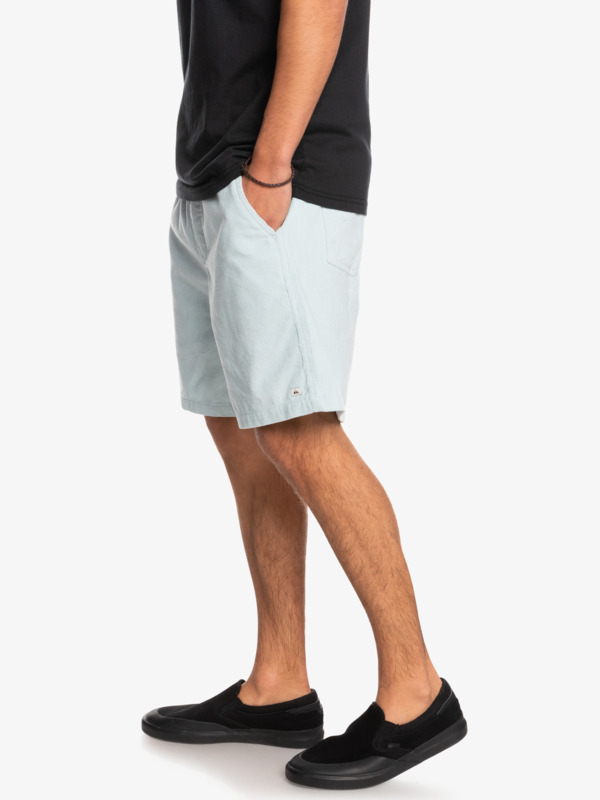 Taxer Corduroy 18.5" Shorts