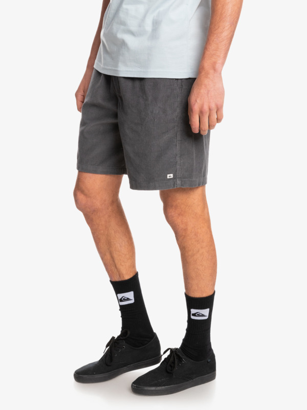 Taxer Corduroy 18.5" Shorts