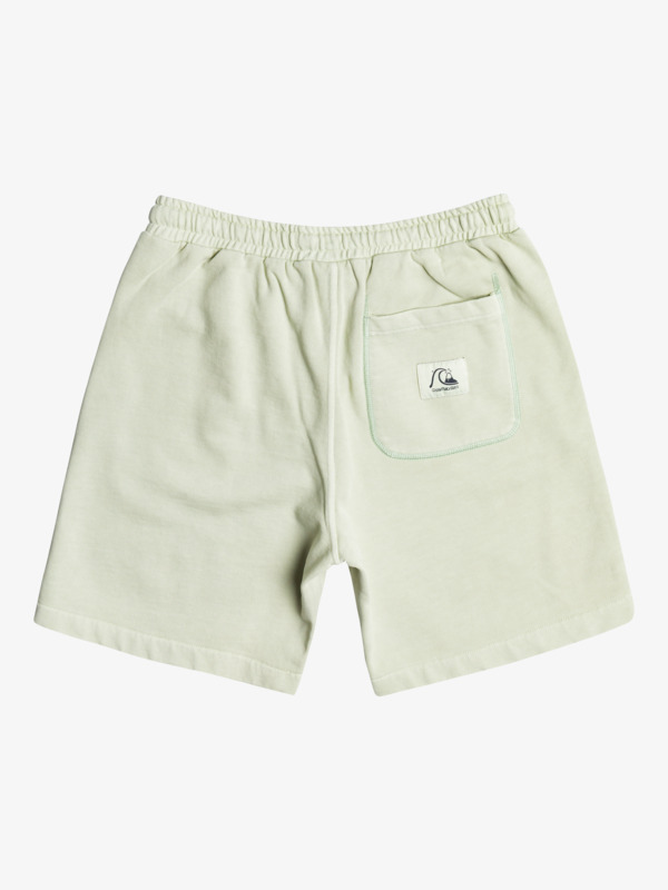 Trip Away 19" Shorts