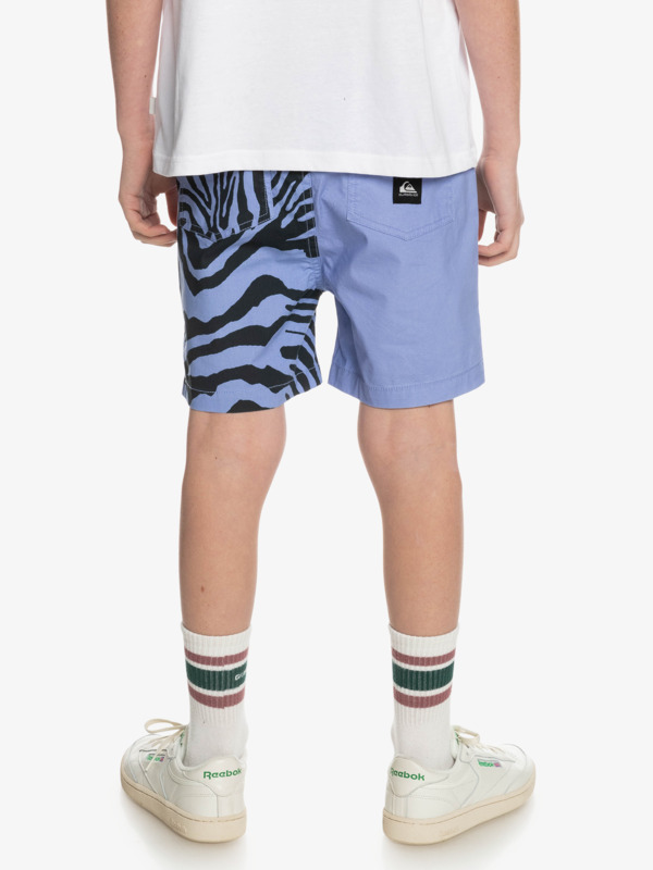 Boy's 8-16 Taxer Print 15" Volleys