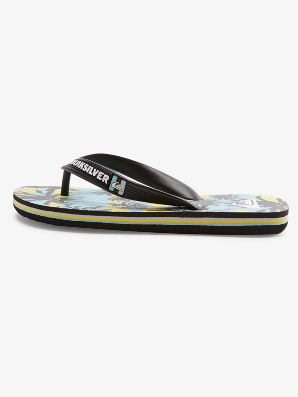 Boy's 8-16 Molokai Art Flip-Flops