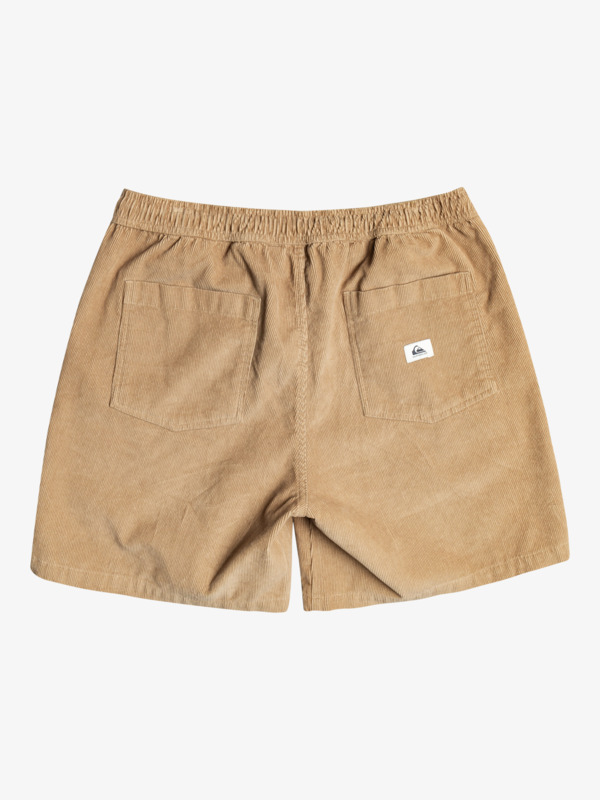 Taxer Corduroy 18.5" Shorts