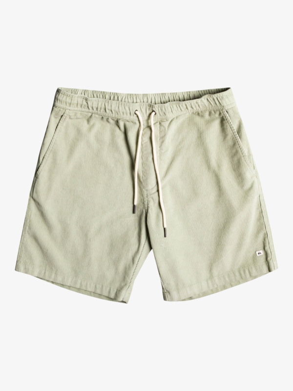 Taxer Corduroy 18.5" Shorts