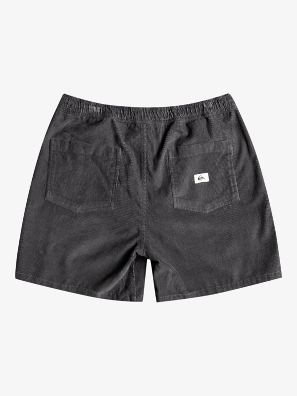 Taxer Corduroy 18.5" Shorts