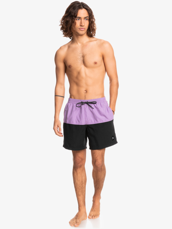 Everyday Division 17" Volleys