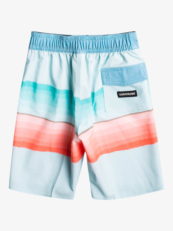 Boy's 2-7 SurfSilk Resin Tint 14" Boardshorts