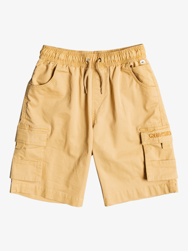 Boy's 8-16 Cargo To Surf Shorts