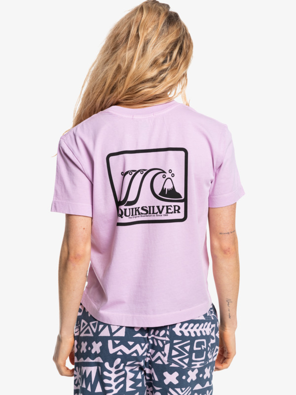 Quiksilver Womens Organic Crop T-Shirt