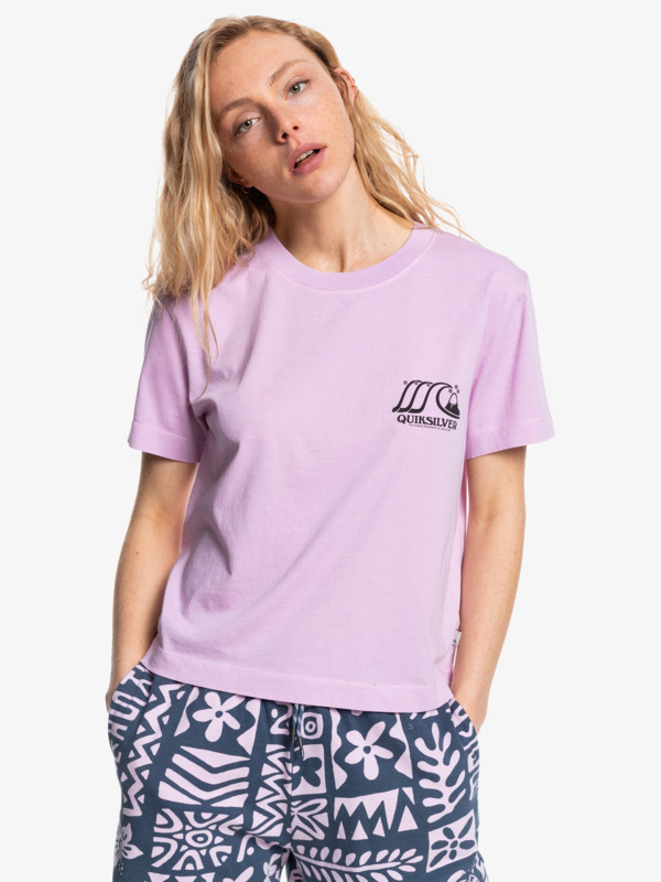 Quiksilver Womens Organic Crop T-Shirt