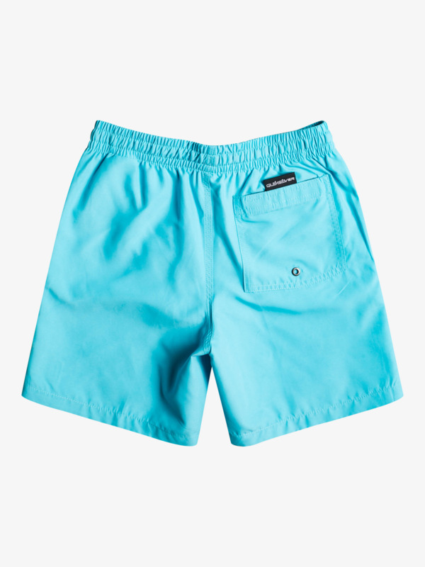 Boy's 8-16 Everyday 15" Volleys