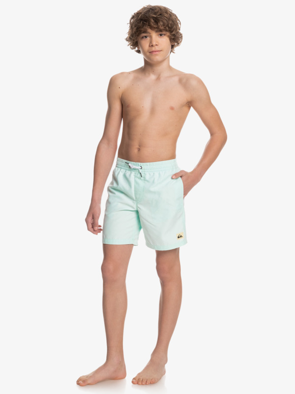 Boy's 8-16 Everyday 15" Volleys