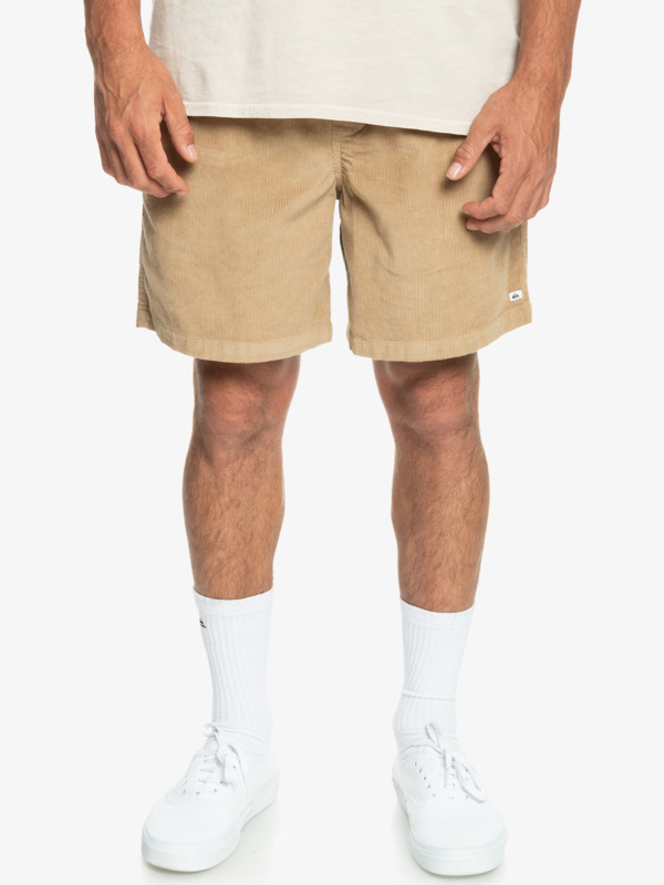 Taxer Corduroy 18.5" Shorts