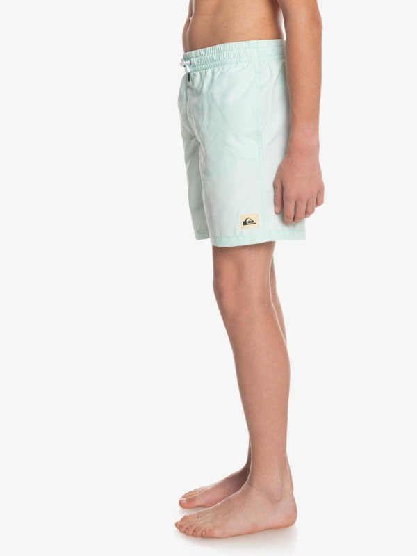 Boy's 8-16 Everyday 15" Volleys