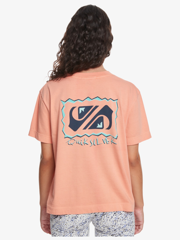 Quiksilver Womens Cropped Mineral T-Shirt