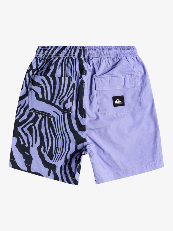 Boy's 8-16 Taxer Print 15" Volleys