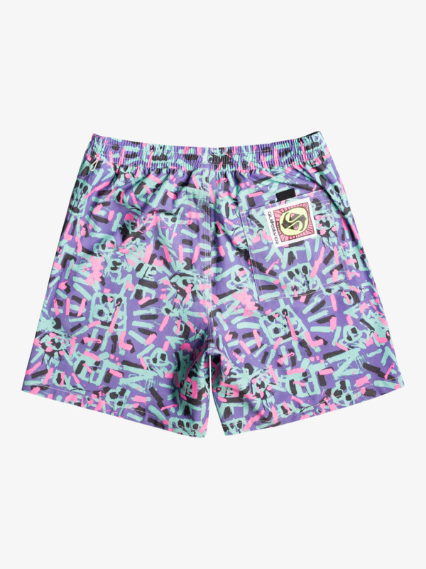 Quiksilver x Stranger Things 1986 17" Volleys