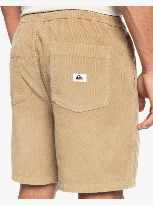 Taxer Corduroy 18.5" Shorts