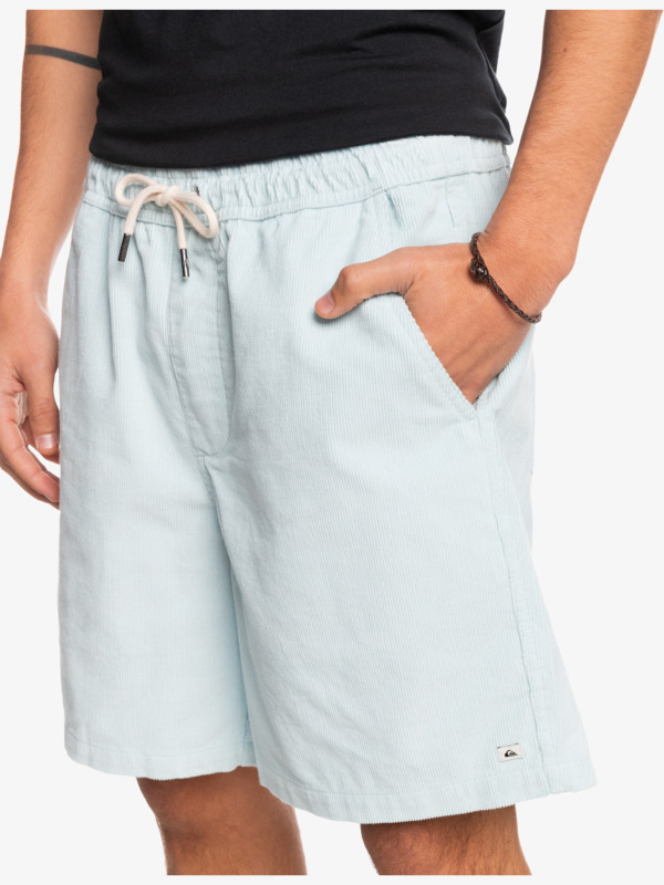 Taxer Corduroy 18.5" Shorts