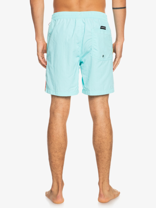 Ocean Beach Please 17" Volleys