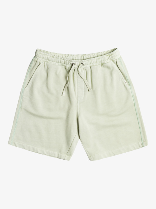 Trip Away 19" Shorts