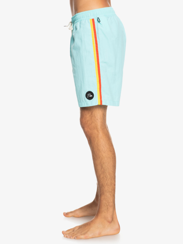 Ocean Beach Please 17" Volleys