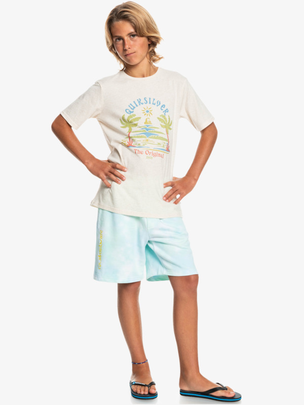 Boy's 8-16 Slow Dive Tie-Dye Shorts