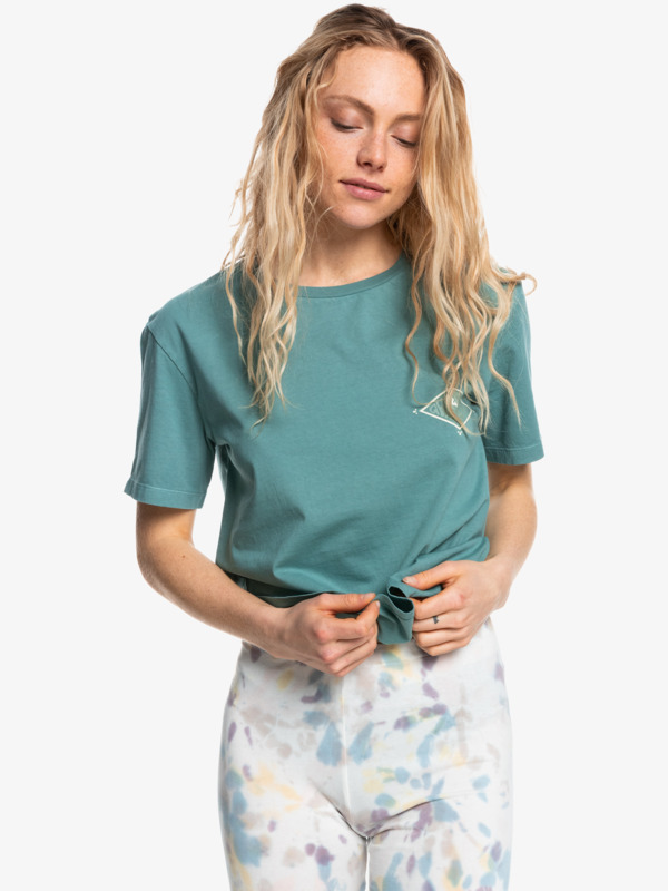 Quiksilver Womens Standard Organic T-Shirt