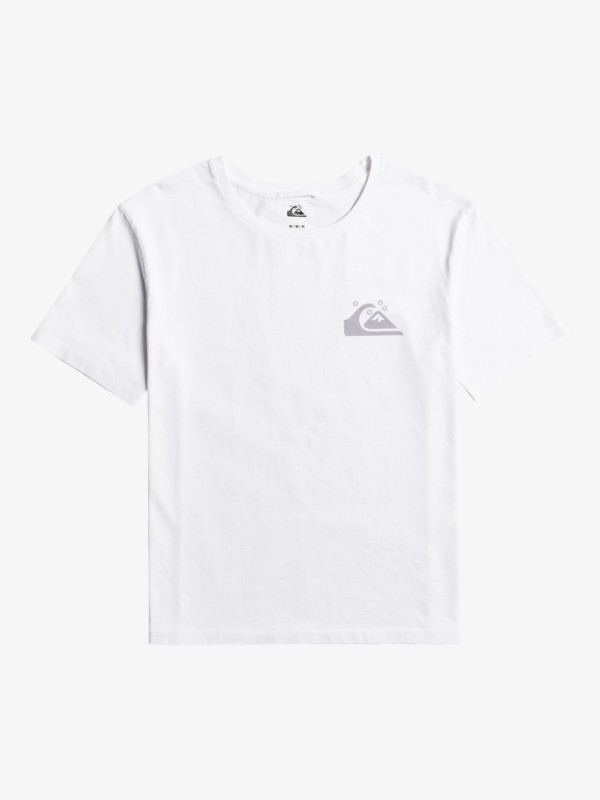 Quiksilver Womens Standard Organic T-Shirt