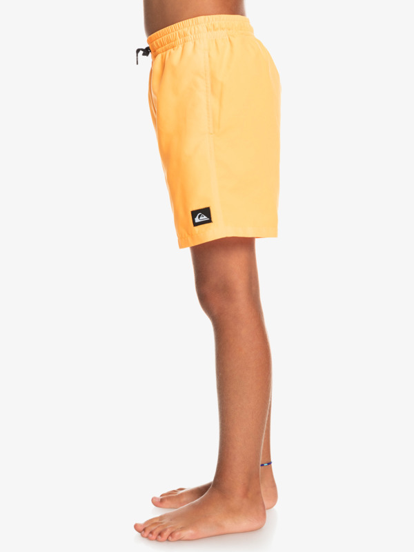 Boy's 8-16 Everyday 15" Volleys