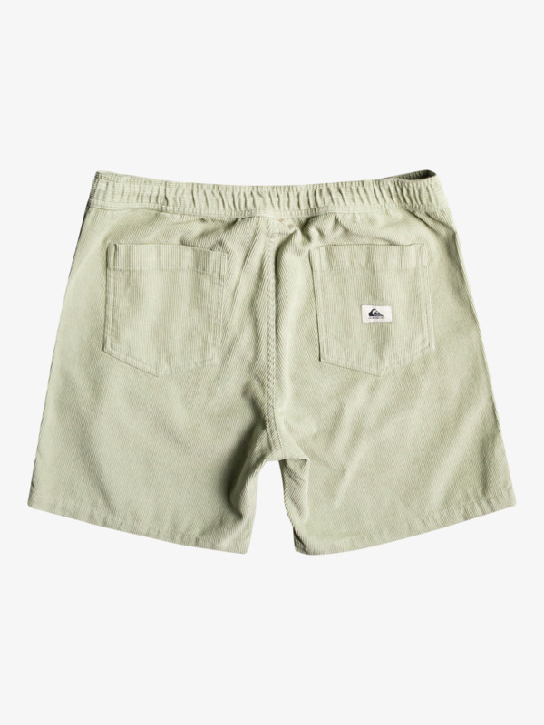 Taxer Corduroy 18.5" Shorts