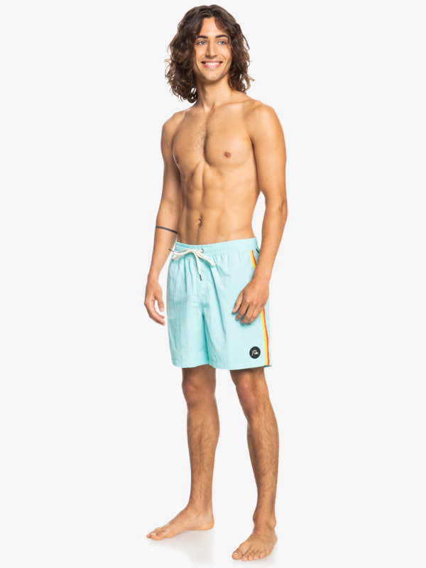 Ocean Beach Please 17" Volleys