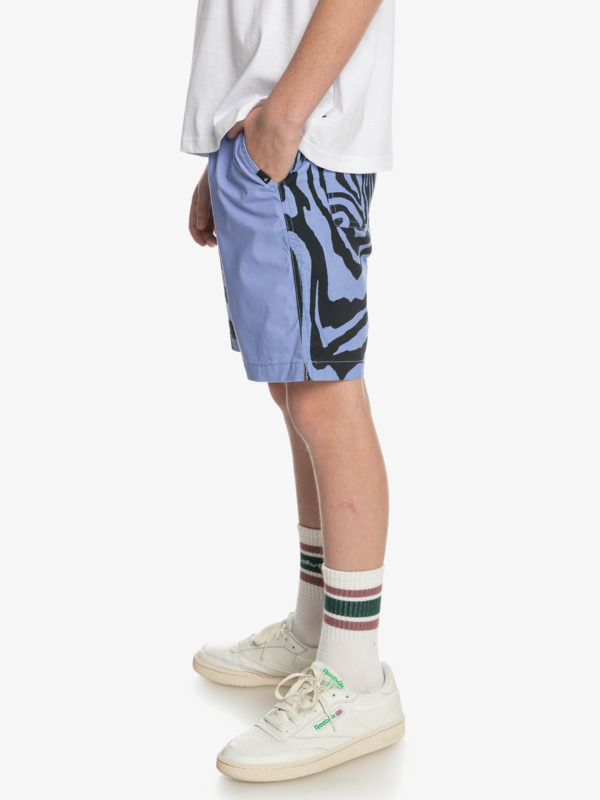 Boy's 8-16 Taxer Print 15" Volleys