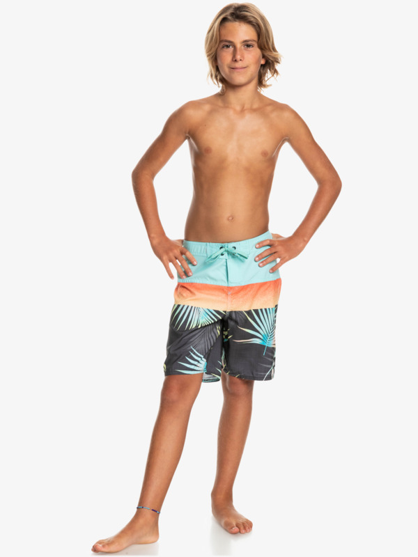 Boy's 8-16 Everyday Panel 17" Boardshorts